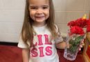Preschool Pals Only-Hour Visits