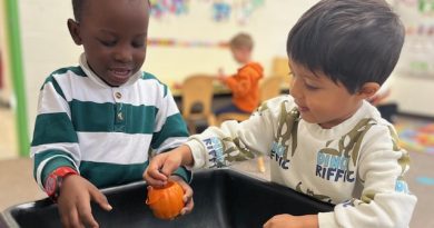 Weekly Round-up October 27th-November 7th, 2025. Weekly Round-up October 27th-November 7th, 2025.