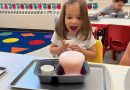 Cool Cats Science Week!