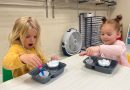 Cool Cats Science Week Day #2-The Water Cycle