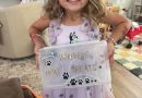 Top Dogs Treat Box