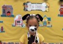 Josie is an official Top Dog!