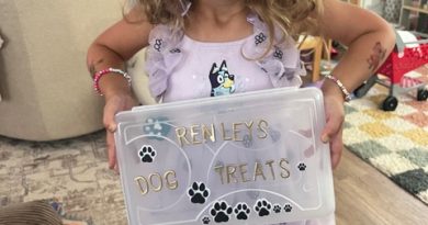Top Dogs Treat Box Top Dogs Treat Box